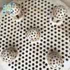 陶瓷分布器11