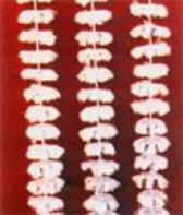 HL组合式双环填料