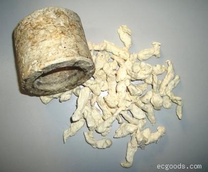 力峰TS-8900节能环保水泵密峰专用填料