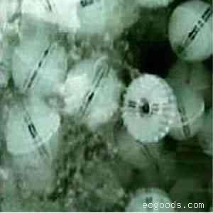 多面空心球悬浮填料