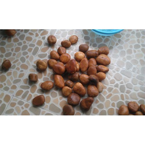 鹅卵石 鹅卵石滤料