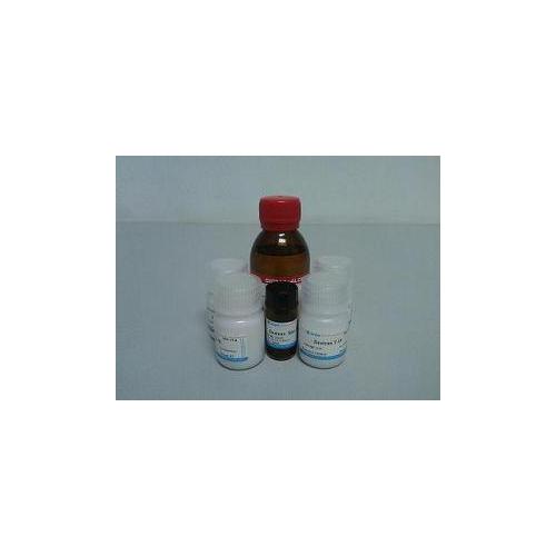 大豆蛋白酶抑制剂