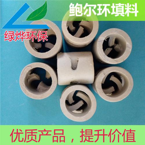 鲍尔环填料/陶瓷鲍尔环/填料塔专用