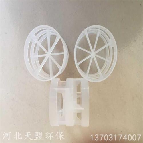 塑料鲍尔环填料 PP鲍尔环填料