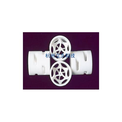 聚四氟乙烯鲍尔环