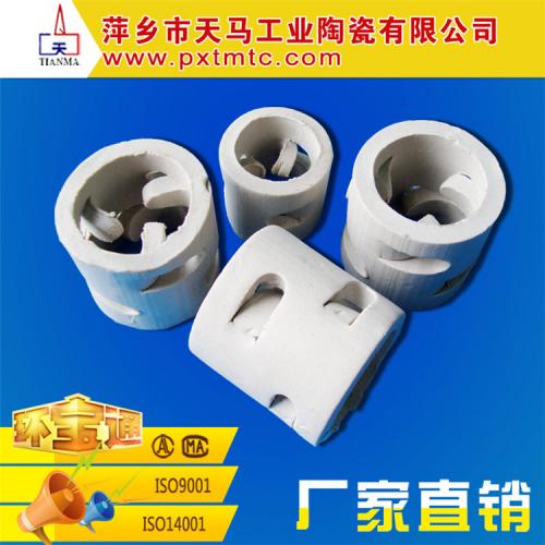 陶瓷填料 76mm陶瓷鲍尔环 鲍尔环填料 厂家加工定做