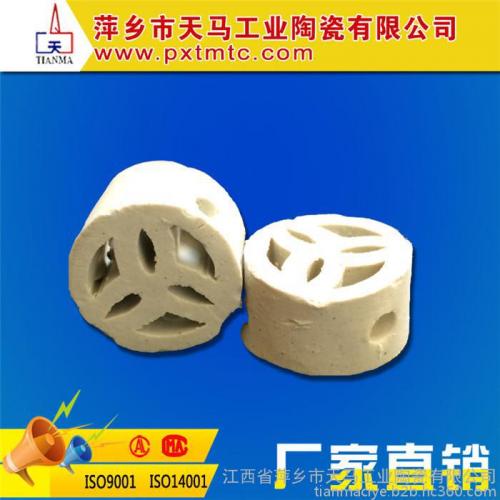 陶瓷填料 陶瓷扁环 三星环扁环填料 耐高温陶瓷扁环